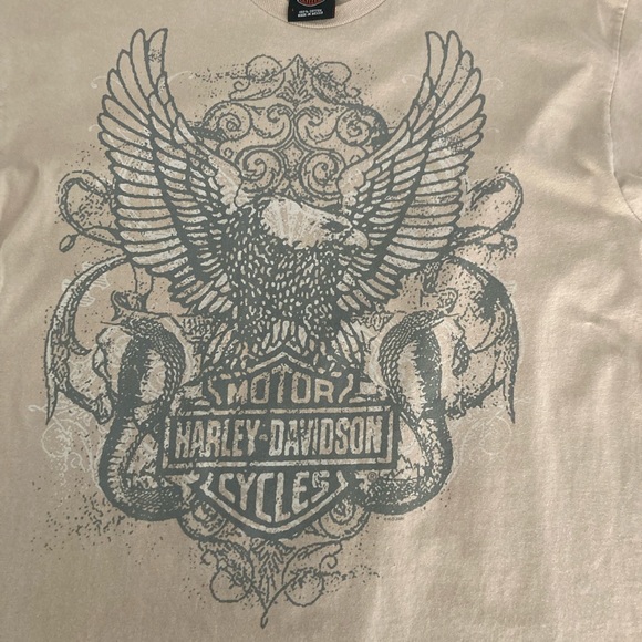 Harley- Davidson men’s Tee-shirt. - Picture 3 of 5